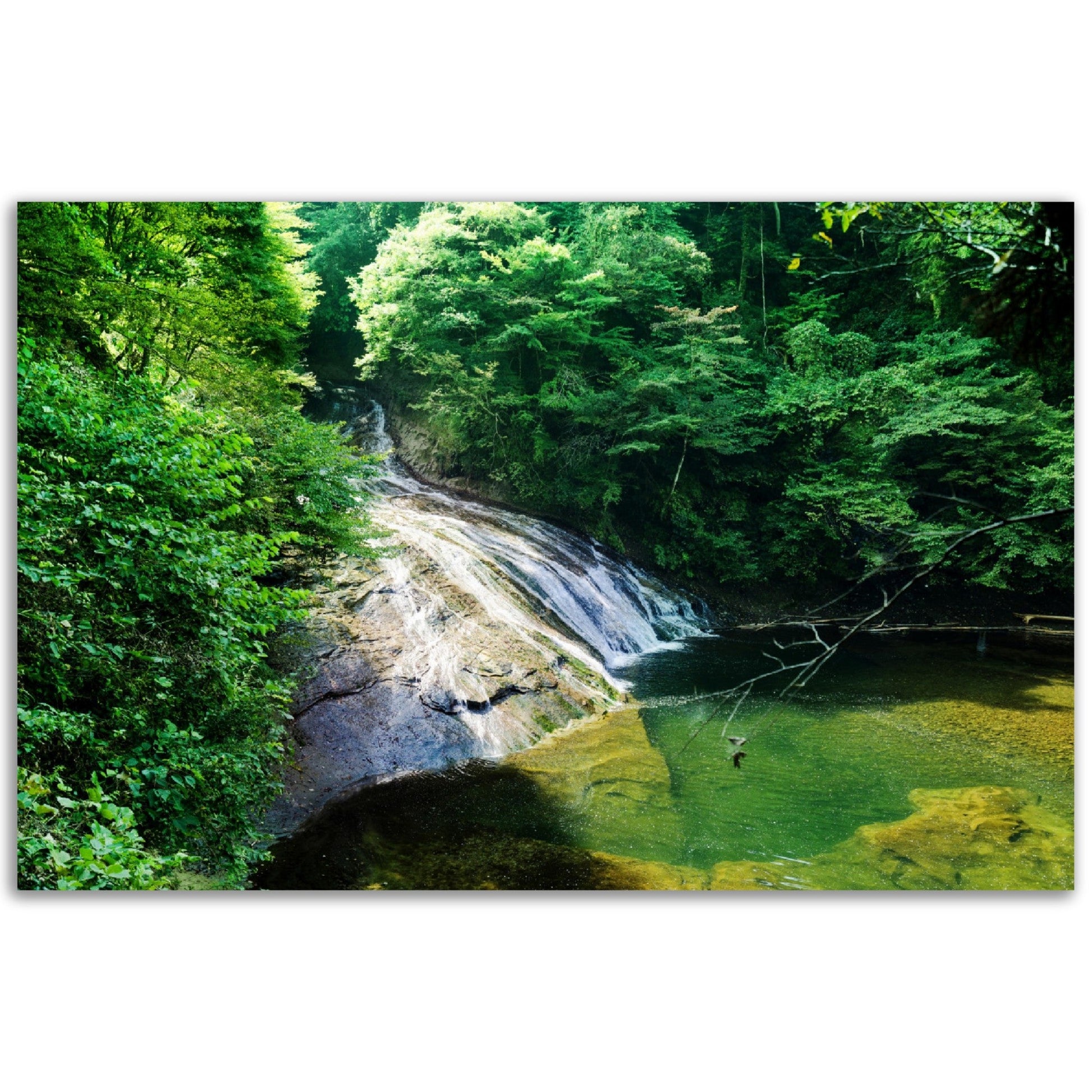 Classic Matte Paper Poster - Beautiful yoro keikoku valley waterfall under morning sun in Chiba Prefecture JAPAN - Green Forest Home