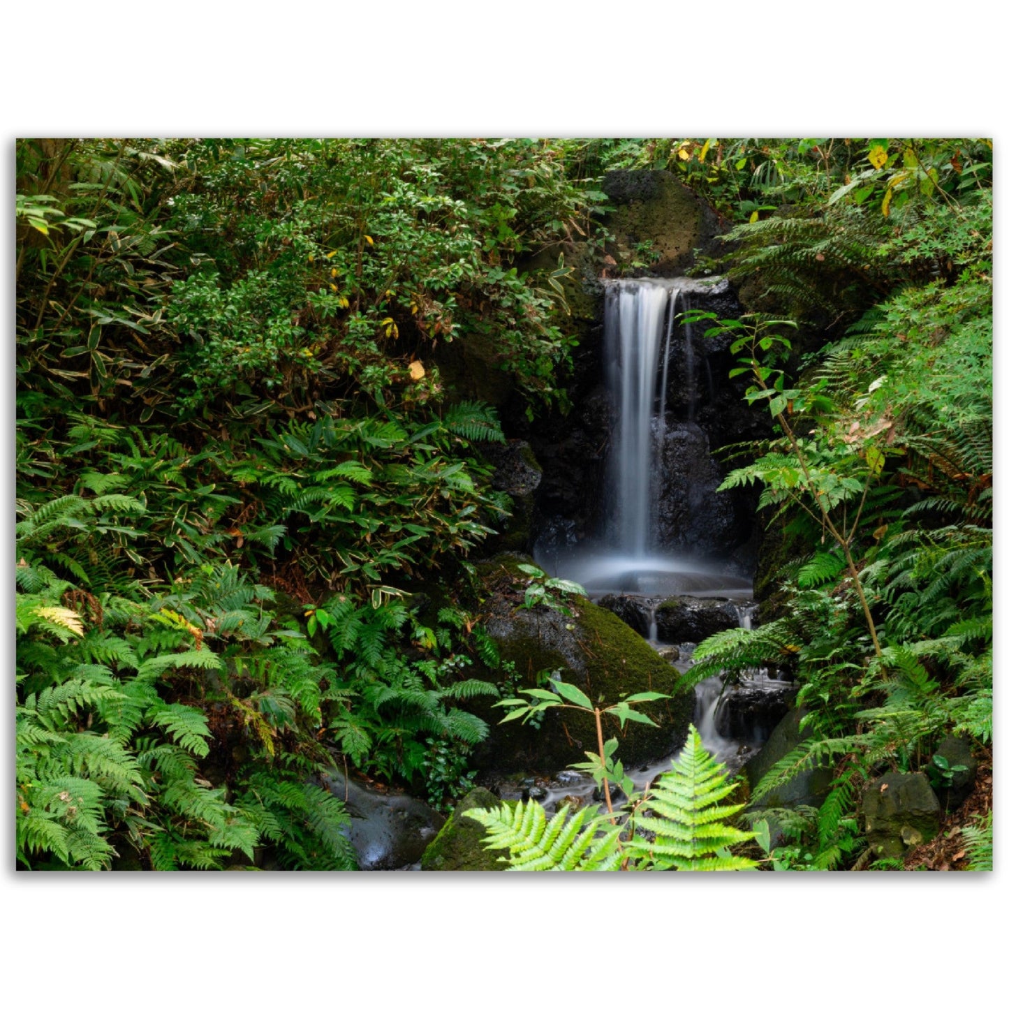Classic Matte Paper Poster - Scene with mystical waterfall and tropical forest - JAPAN - Green Forest Home