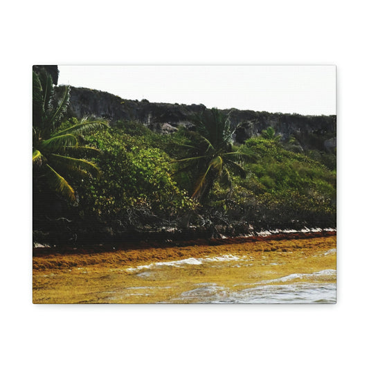 Colorful Pajaros beach from pier - Puerto Rico - the Galapagos of the Caribbean - Green Forest Home