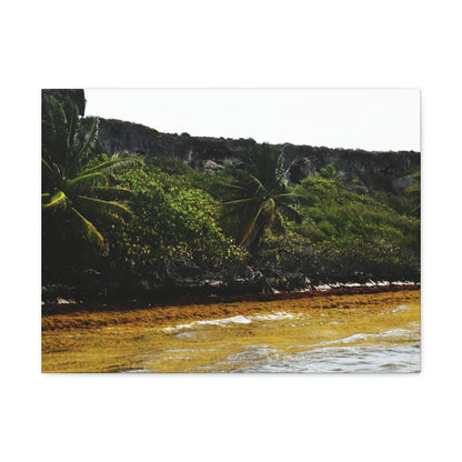 Colorful Pajaros beach from pier - Puerto Rico - the Galapagos of the Caribbean - Green Forest Home