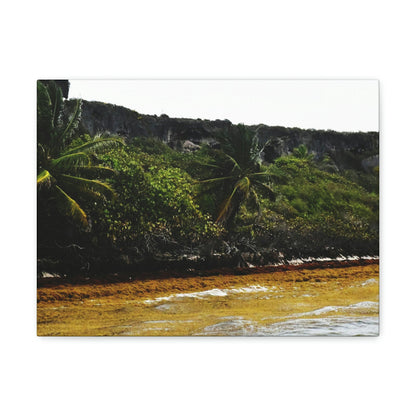 Colorful Pajaros beach from pier - Puerto Rico - the Galapagos of the Caribbean - Green Forest Home