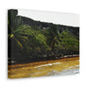 Colorful Pajaros beach from pier - Puerto Rico - the Galapagos of the Caribbean - Green Forest Home