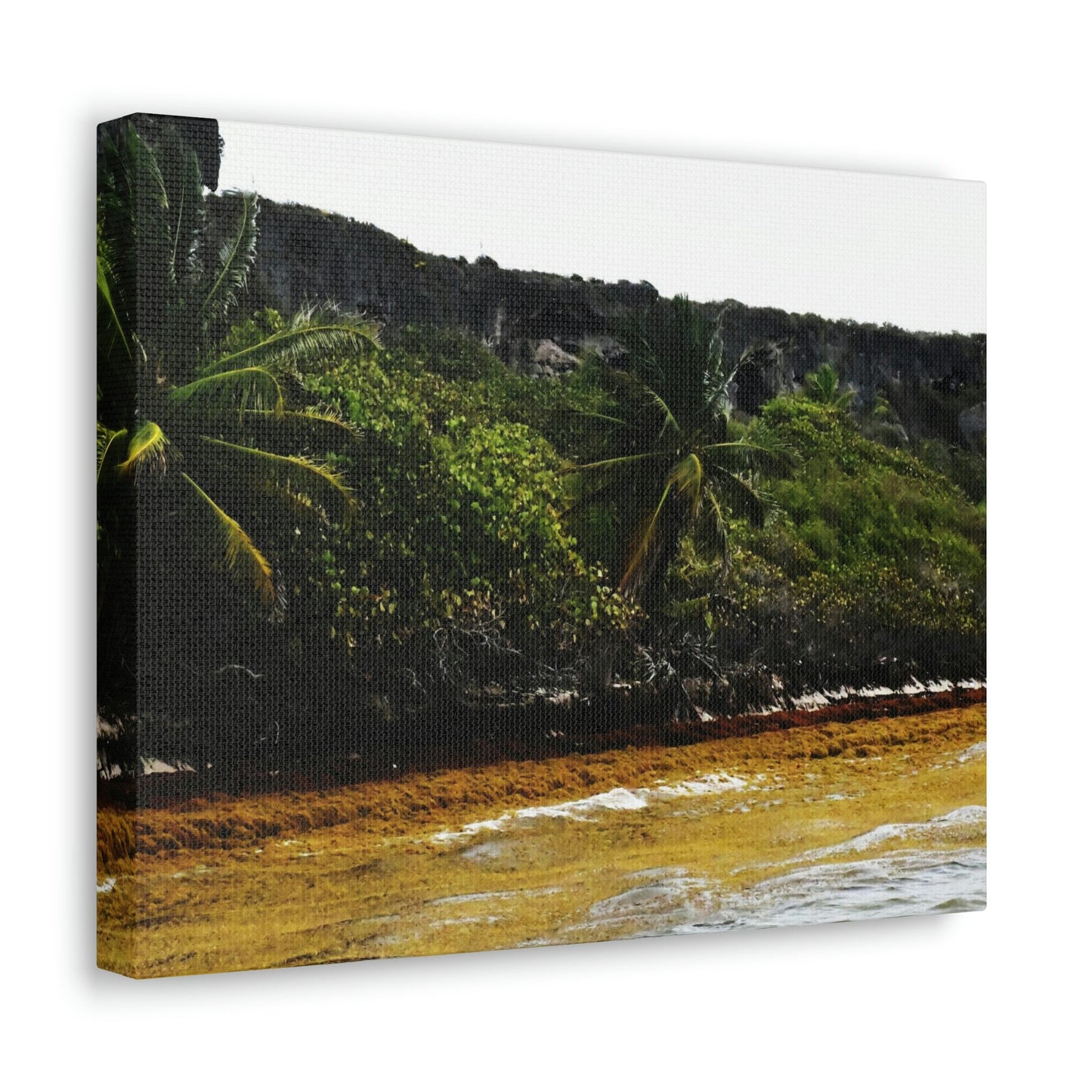 Colorful Pajaros beach from pier - Puerto Rico - the Galapagos of the Caribbean - Green Forest Home