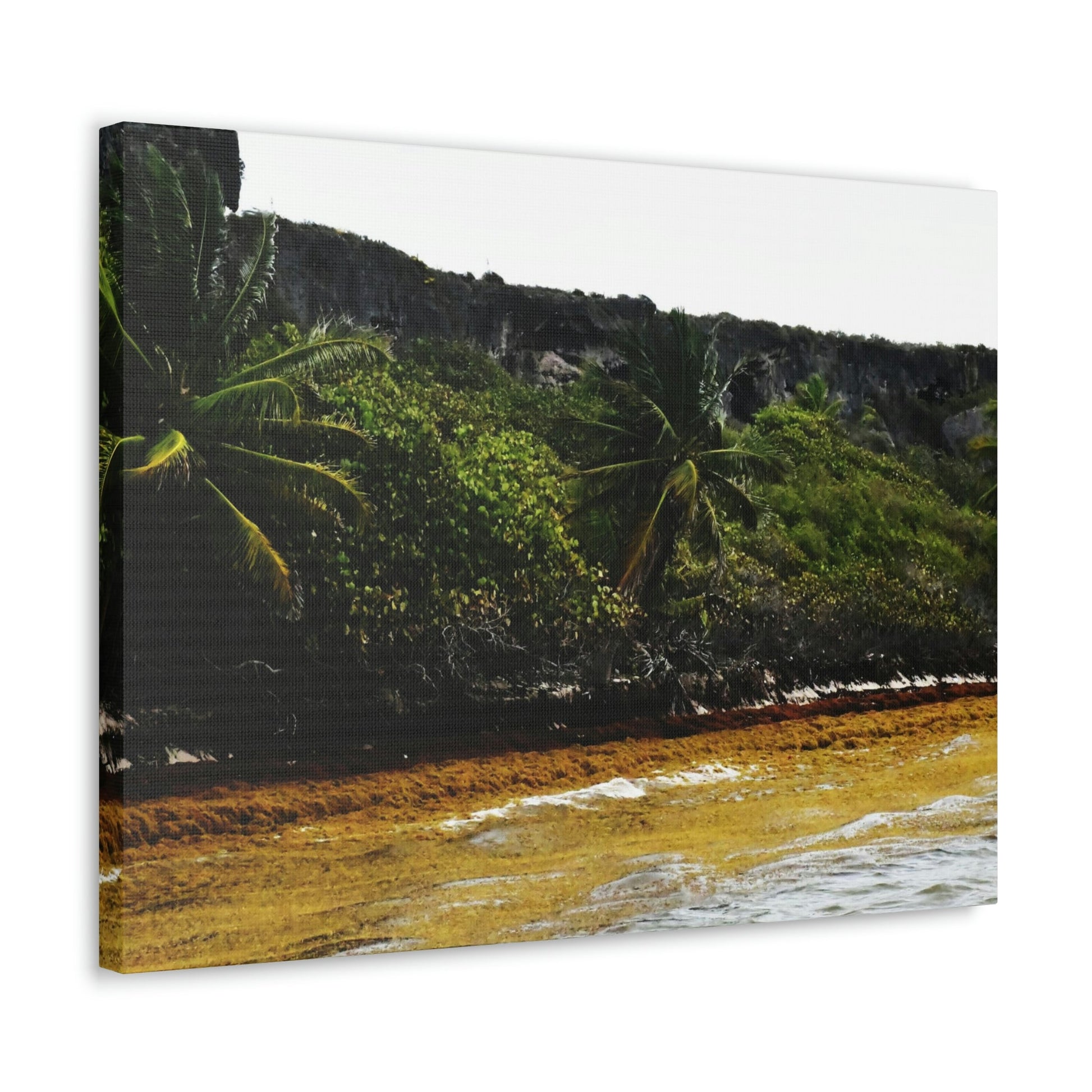 Colorful Pajaros beach from pier - Puerto Rico - the Galapagos of the Caribbean - Green Forest Home