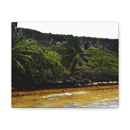 Colorful Pajaros beach from pier - Puerto Rico - the Galapagos of the Caribbean - Green Forest Home