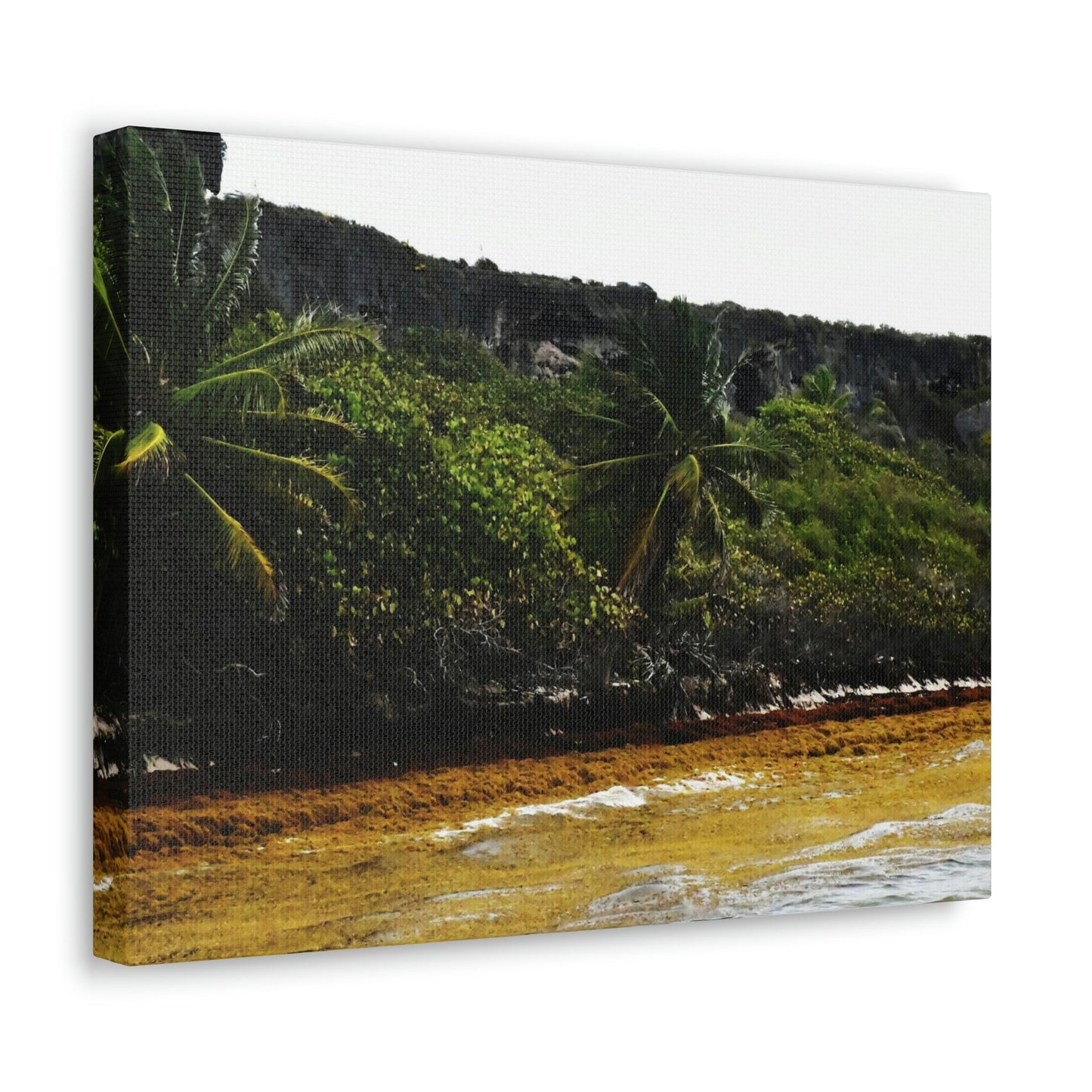 Colorful Pajaros beach from pier - Puerto Rico - the Galapagos of the Caribbean - Green Forest Home