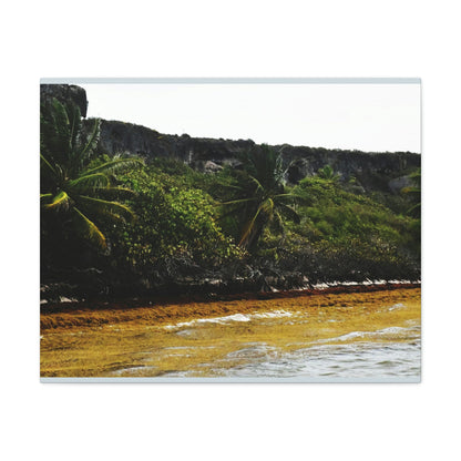 Colorful Pajaros beach from pier - Puerto Rico - the Galapagos of the Caribbean - Green Forest Home
