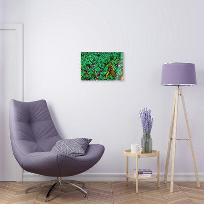 Copy of Acrylic Prints - US Made - Ideal for a Stunning Home/Office Decor Ideas - El Yunque Rainforest - The Early Holy Spirit River - CCMM* - Green Forest Home