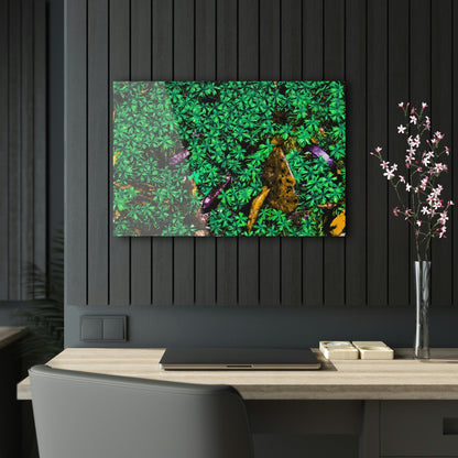 Copy of Acrylic Prints - US Made - Ideal for a Stunning Home/Office Decor Ideas - El Yunque Rainforest - The Early Holy Spirit River - CCMM* - Green Forest Home