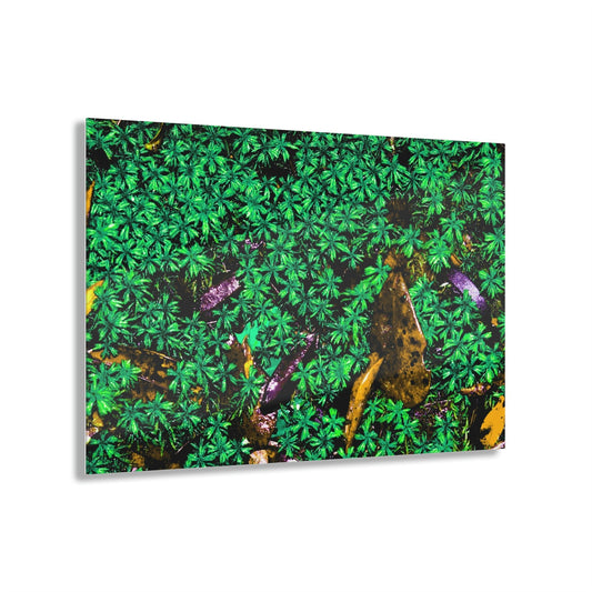 Copy of Acrylic Prints - US Made - Ideal for a Stunning Home/Office Decor Ideas - El Yunque Rainforest - The Early Holy Spirit River - CCMM* - Green Forest Home