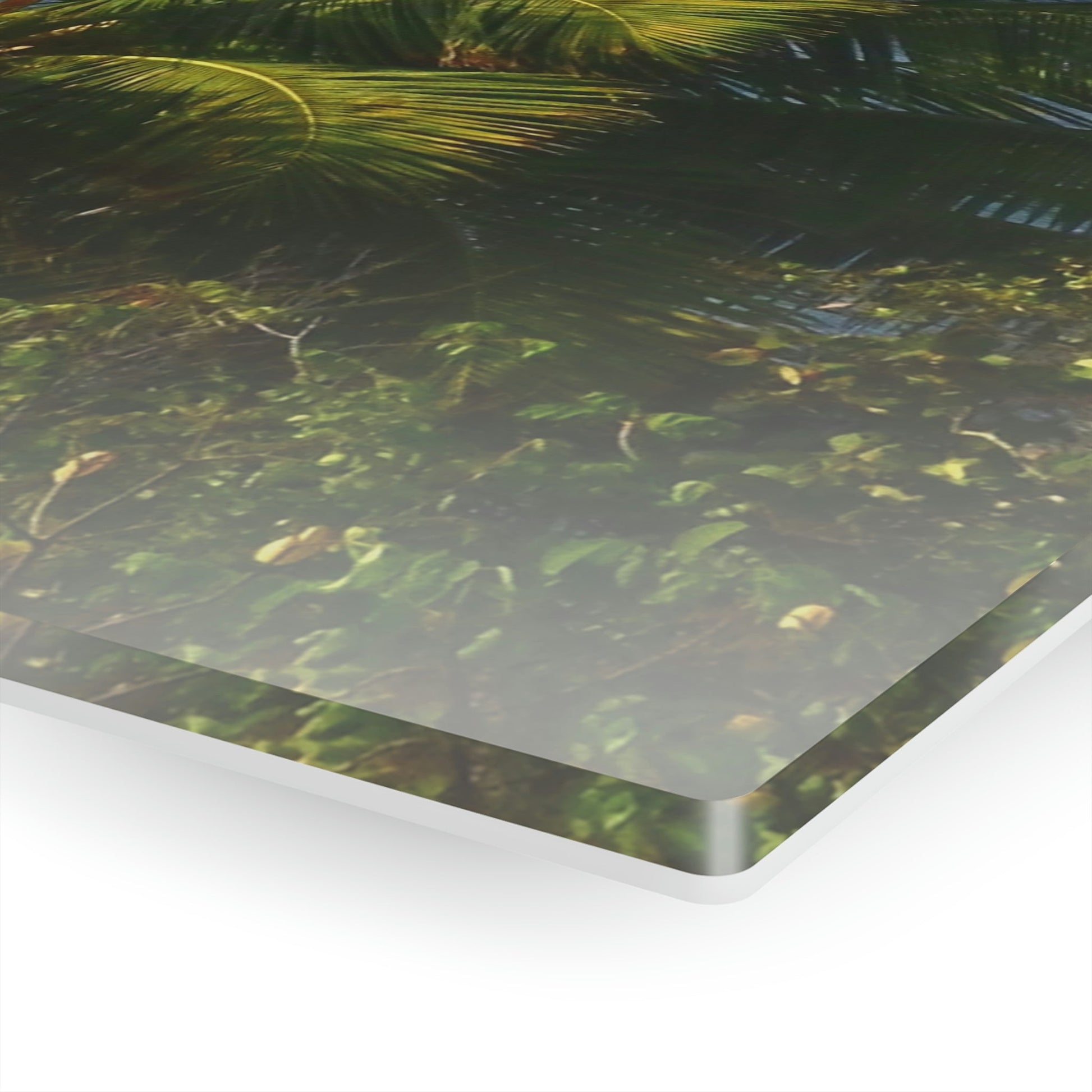 Copy of Acrylic Prints - US Made - Ideal for a Stunning Home/Office Decor Ideas - Inspirations from Nature - Remote Mona island - PR Sierra Club members share the beach - Green Forest Home