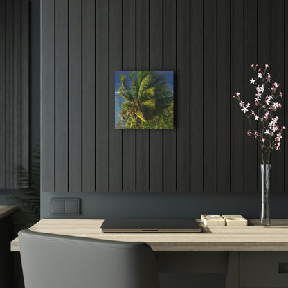 Copy of Acrylic Prints - US Made - Ideal for a Stunning Home/Office Decor Ideas - Inspirations from Nature - Remote Mona island - PR Sierra Club members share the beach - Green Forest Home