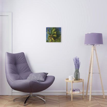 Copy of Acrylic Prints - US Made - Ideal for a Stunning Home/Office Decor Ideas - Inspirations from Nature - Remote Mona island - PR Sierra Club members share the beach - Green Forest Home
