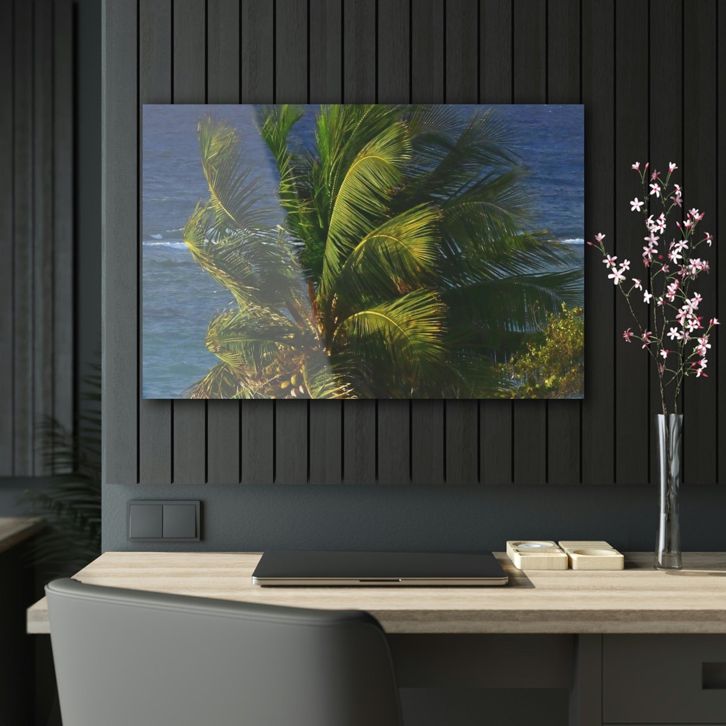 Copy of Acrylic Prints - US Made - Ideal for a Stunning Home/Office Decor Ideas - Inspirations from Nature - Remote Mona island - PR Sierra Club members share the beach - Green Forest Home