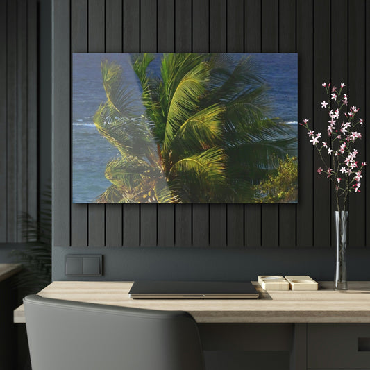 Copy of Acrylic Prints - US Made - Ideal for a Stunning Home/Office Decor Ideas - Inspirations from Nature - Remote Mona island - PR Sierra Club members share the beach - Green Forest Home