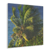 Copy of Acrylic Prints - US Made - Ideal for a Stunning Home/Office Decor Ideas - Inspirations from Nature - Remote Mona island - PR Sierra Club members share the beach - Green Forest Home