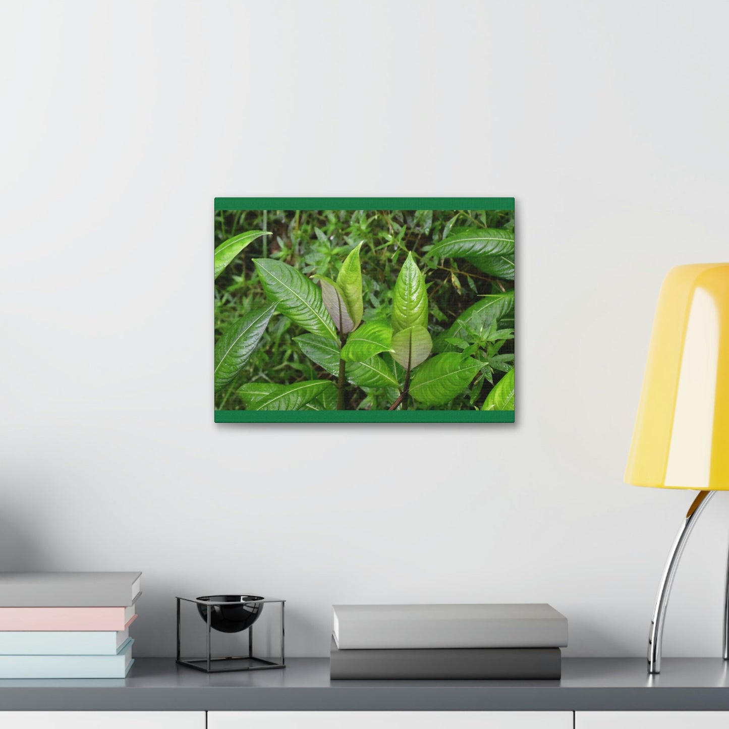 Copy of Canvas Stretched - Forest@Home - El Yunque - Recovering from Hurricane Maria - Common plants of EYNF in Tradewinds trail - Green Forest Home