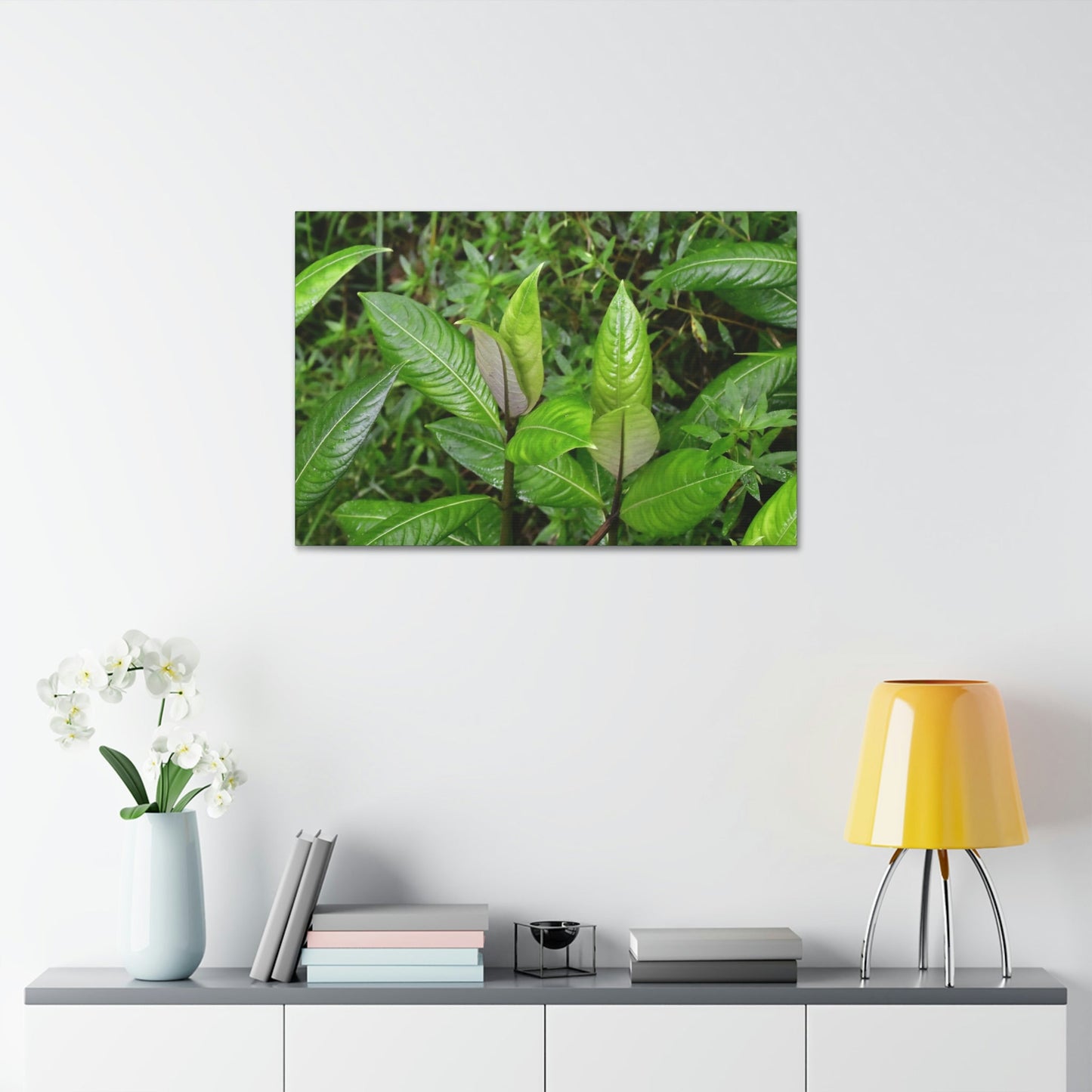 Copy of Canvas Stretched - Forest@Home - El Yunque - Recovering from Hurricane Maria - Common plants of EYNF in Tradewinds trail - Green Forest Home
