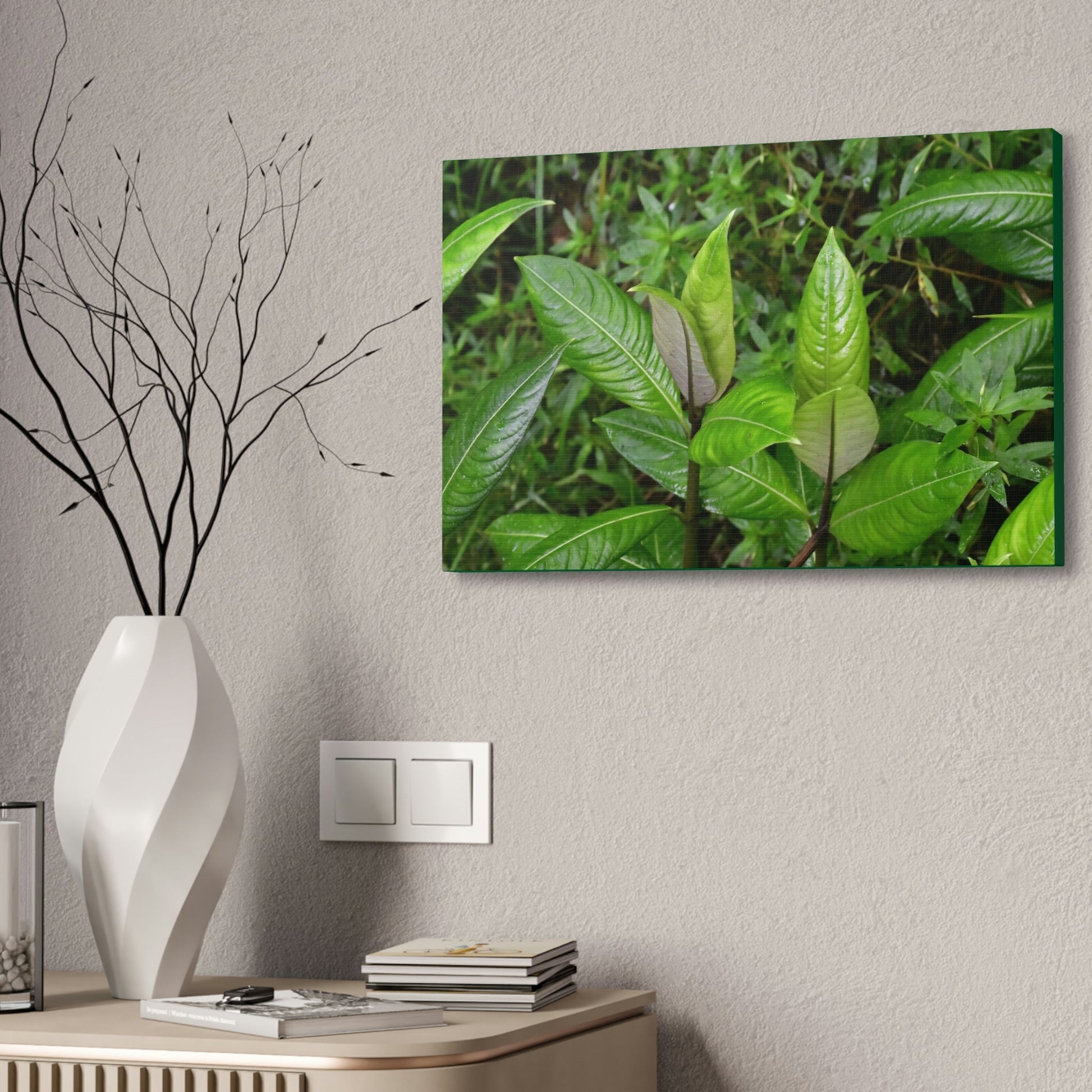 Copy of Canvas Stretched - Forest@Home - El Yunque - Recovering from Hurricane Maria - Common plants of EYNF in Tradewinds trail - Green Forest Home