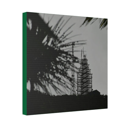 Copy of Canvas Stretched - Forest@Home - El Yunque - Recovering from Hurricane Maria - El Yunque Telecom towers in back of Sierra Palm seeds - Green Forest Home