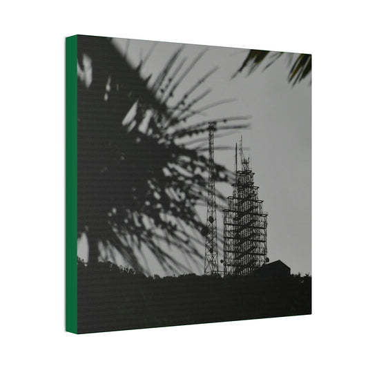 Copy of Canvas Stretched - Forest@Home - El Yunque - Recovering from Hurricane Maria - El Yunque Telecom towers in back of Sierra Palm seeds - Green Forest Home
