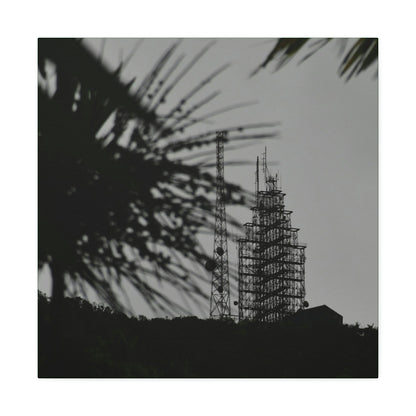 Copy of Canvas Stretched - Forest@Home - El Yunque - Recovering from Hurricane Maria - El Yunque Telecom towers in back of Sierra Palm seeds - Green Forest Home