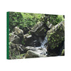 Copy of Canvas Stretched - Forest@Home - El Yunque - Recovering from Hurricane Maria - This is how a good part of the tral Tradewinds looks like - Green Forest Home