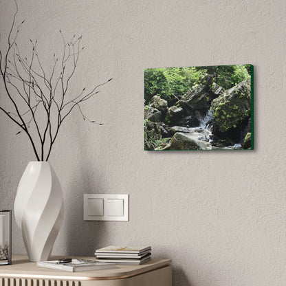 Copy of Canvas Stretched - Forest@Home - El Yunque - Recovering from Hurricane Maria - This is how a good part of the tral Tradewinds looks like - Green Forest Home