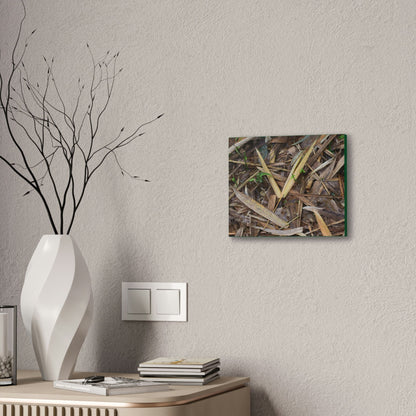 Copy of Deals on Thin Canvas - Stretched, 0.75" - Small Sizes Horizontal - Ideal for Wall Forest Mosaics - Cluster of Common Yunque Plants - Green Forest Home