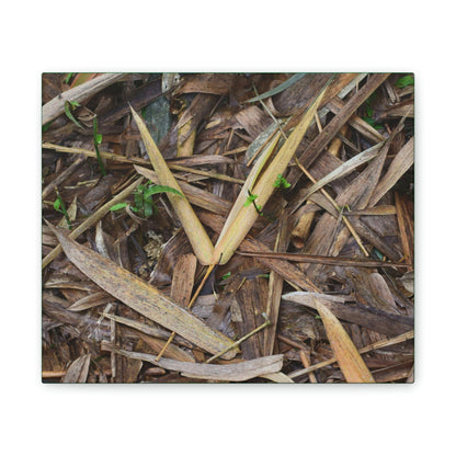 Copy of Deals on Thin Canvas - Stretched, 0.75" - Small Sizes Horizontal - Ideal for Wall Forest Mosaics - Cluster of Common Yunque Plants - Green Forest Home