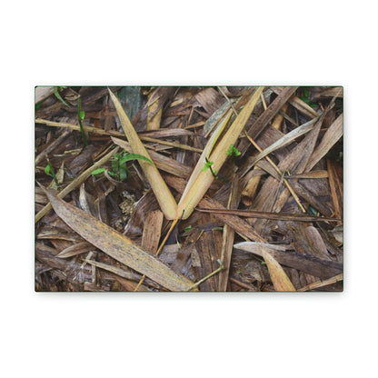 Copy of Deals on Thin Canvas - Stretched, 0.75" - Small Sizes Horizontal - Ideal for Wall Forest Mosaics - Cluster of Common Yunque Plants - Green Forest Home