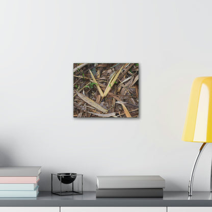 Copy of Deals on Thin Canvas - Stretched, 0.75" - Small Sizes Horizontal - Ideal for Wall Forest Mosaics - Cluster of Common Yunque Plants - Green Forest Home