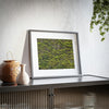 Copy of Framed Posters, Matte - Printed in Australia by Prima Printing - Trees in the woods of Australia - Green Forest Home