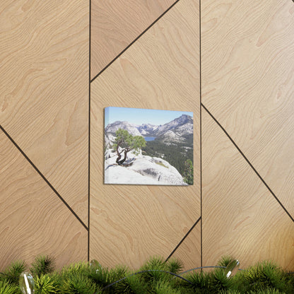 Canvas Gallery Wraps - The US National Parks - Yosemite Park peaks next to Tuolmne Meadows - California - USA NPS