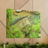 EYNF - Canvas Gallery Wraps - The Magic pond in La Mina river and trail - El Yunque PR - before Hurricane Maria