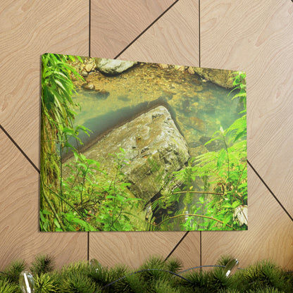 EYNF - Canvas Gallery Wraps - The Magic pond in La Mina river and trail - El Yunque PR - before Hurricane Maria