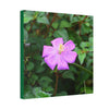 DEAL - Thin Canvas - Stretched, 0.75" - Small Sizes - Ideal for Wall Forest Mosaics - Leaves of El Yunque - Flowers in foliage - Green Forest Home