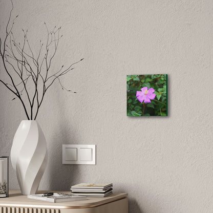 DEAL - Thin Canvas - Stretched, 0.75" - Small Sizes - Ideal for Wall Forest Mosaics - Leaves of El Yunque - Flowers in foliage - Green Forest Home