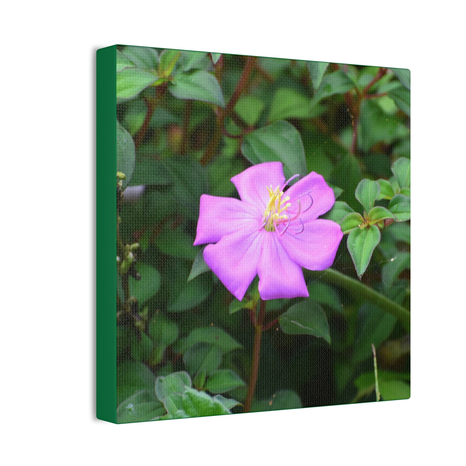 DEAL - Thin Canvas - Stretched, 0.75" - Small Sizes - Ideal for Wall Forest Mosaics - Leaves of El Yunque - Flowers in foliage - Green Forest Home