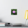 DEAL - Thin Canvas - Stretched, 0.75" - Small Sizes - Ideal for Wall Forest Mosaics - Leaves of El Yunque - Flowers in foliage - Green Forest Home