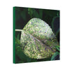 DEAL - Thin Canvas - Stretched, 0.75" - Small Sizes - Ideal for Wall Forest Mosaics - Leaves of El Yunque - Rare Mosaic Leaf - Green Forest Home