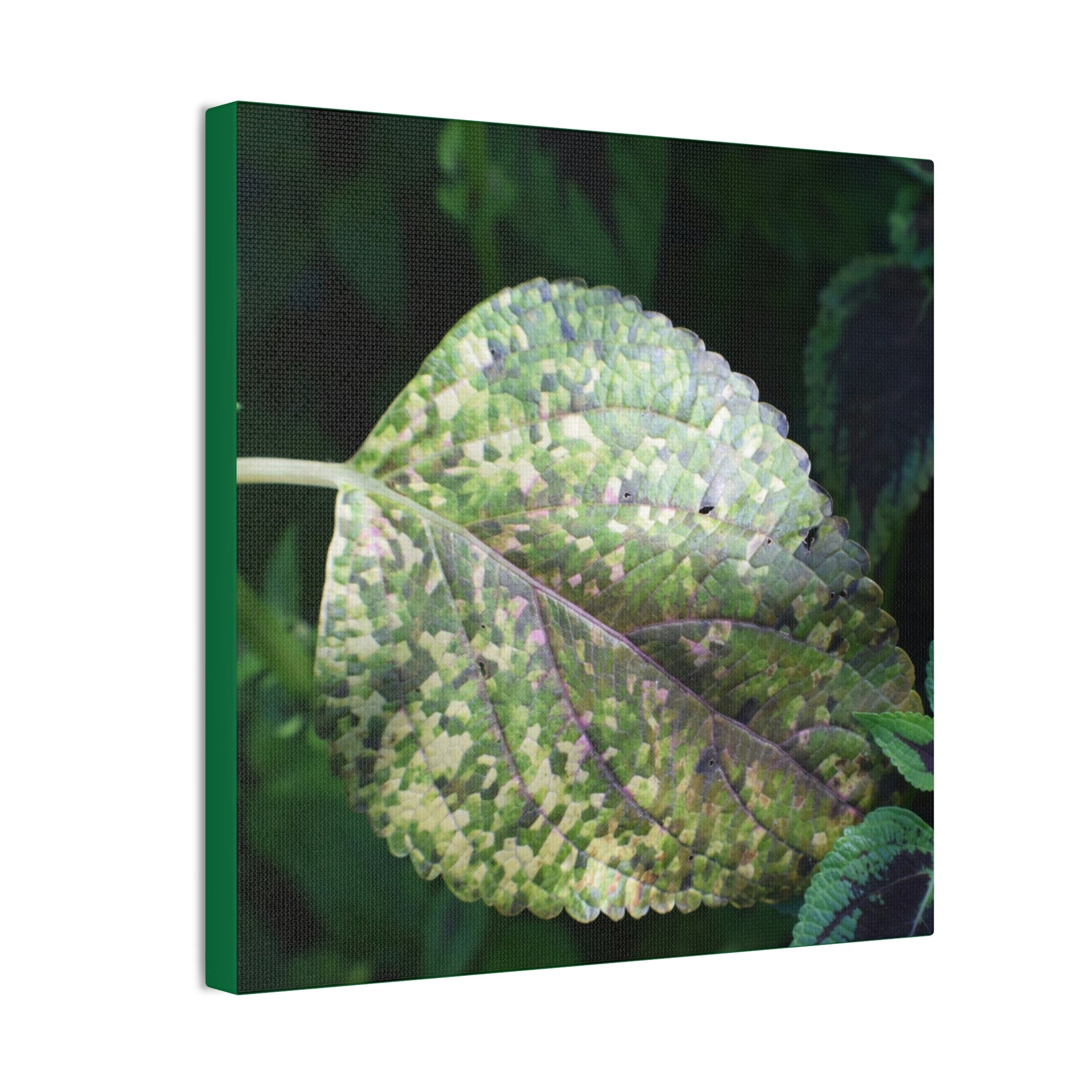 DEAL - Thin Canvas - Stretched, 0.75" - Small Sizes - Ideal for Wall Forest Mosaics - Leaves of El Yunque - Rare Mosaic Leaf - Green Forest Home