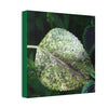 DEAL - Thin Canvas - Stretched, 0.75" - Small Sizes - Ideal for Wall Forest Mosaics - Leaves of El Yunque - Rare Mosaic Leaf - Green Forest Home
