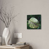DEAL - Thin Canvas - Stretched, 0.75" - Small Sizes - Ideal for Wall Forest Mosaics - Leaves of El Yunque - Rare Mosaic Leaf - Green Forest Home