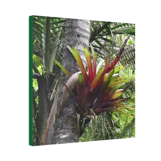 DEAL - Thin Canvas - Stretched, 0.75" - Small Sizes - Ideal for Wall Forest Mosaics - Leaves of El Yunque - Red Bromeliad - air plant - Green Forest Home