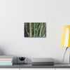 Deals on Thin Canvas - Stretched, 0.75" - Small Sizes Horizontal - Ideal for Wall Forest Mosaics - Bamboo cluster planted to protect the roads - Green Forest Home