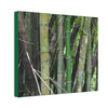 Deals on Thin Canvas - Stretched, 0.75" - Small Sizes Horizontal - Ideal for Wall Forest Mosaics - Bamboo cluster planted to protect the roads - Green Forest Home