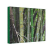 Deals on Thin Canvas - Stretched, 0.75" - Small Sizes Horizontal - Ideal for Wall Forest Mosaics - Bamboo cluster planted to protect the roads - Green Forest Home