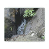 Deals on Thin Canvas - Stretched, 0.75" - Small Sizes Horizontal - Ideal for Wall Forest Mosaics - Bromeliads on Boulder - Rio Sabana Trail - Green Forest Home