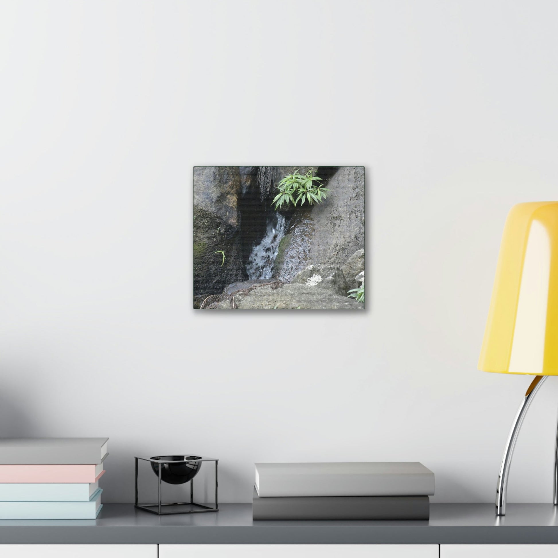 Deals on Thin Canvas - Stretched, 0.75" - Small Sizes Horizontal - Ideal for Wall Forest Mosaics - Bromeliads on Boulder - Rio Sabana Trail - Green Forest Home